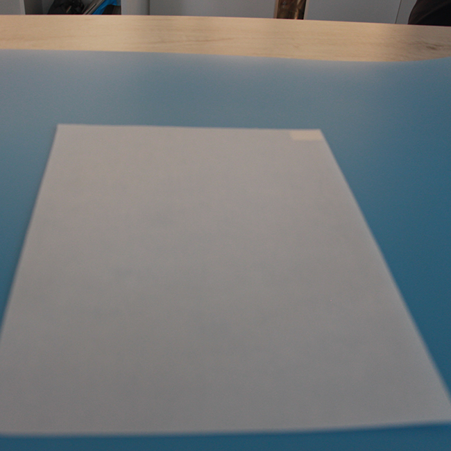 OEM High Quality Composite Material Suppliers - Polyester Film/Polyester Fibre Nonwoven Fabric Flexible Laminate (DM-F) – Times Industry detail pictures